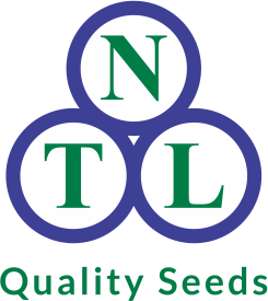 NTL
